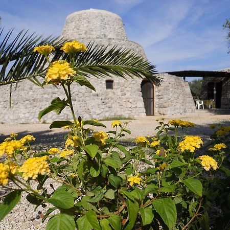 Agriturismo Specchiarussa Morciano di Leuca Kamer foto