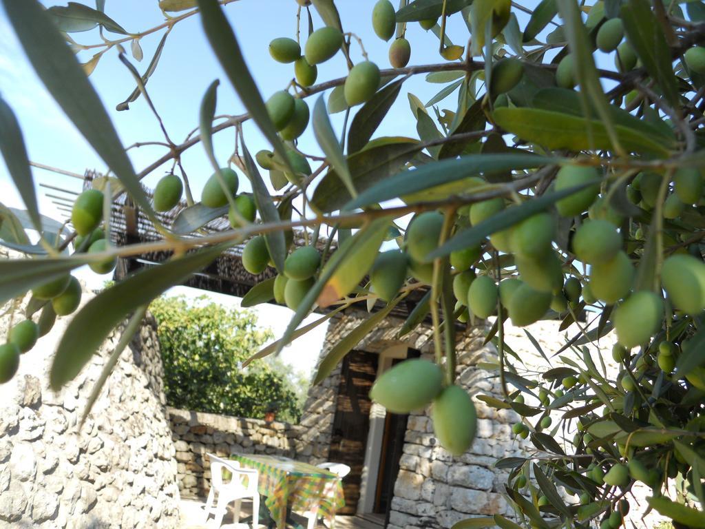 Agriturismo Specchiarussa Morciano di Leuca Kamer foto